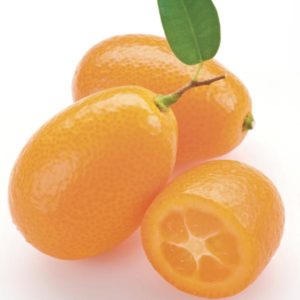 Cumquats - Advanced