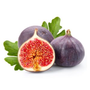 Fig Trees