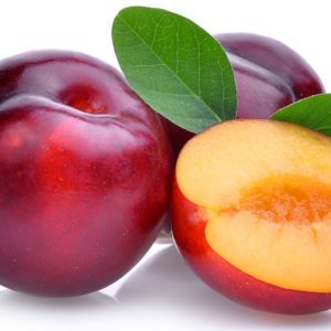 Bare Root - Plum Trees