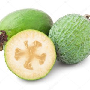 Feijoa