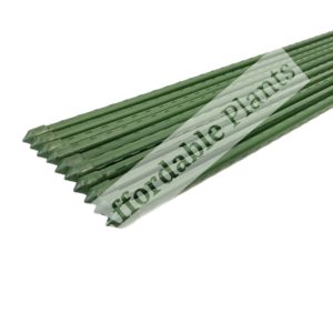 PVC Coated Garden Stakes