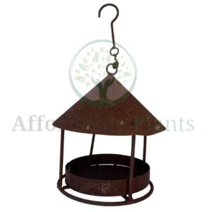 Bird Feeder