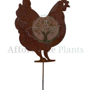 Chickens and Roosters