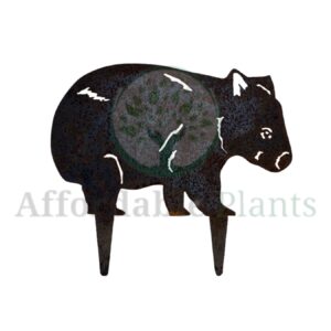 Wombat