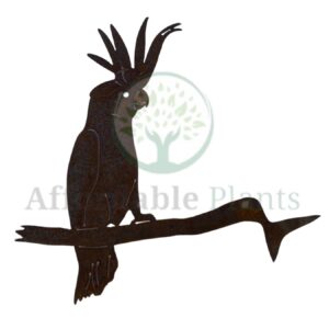 Cockatoo Tree Spike